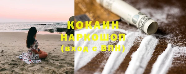 стаф Арсеньев