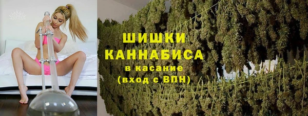 PSILOCYBIN Аркадак