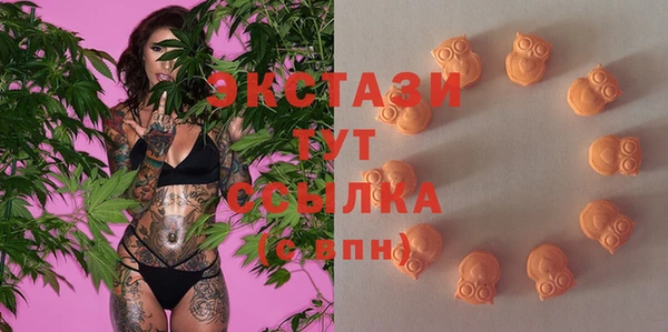 стаф Арсеньев
