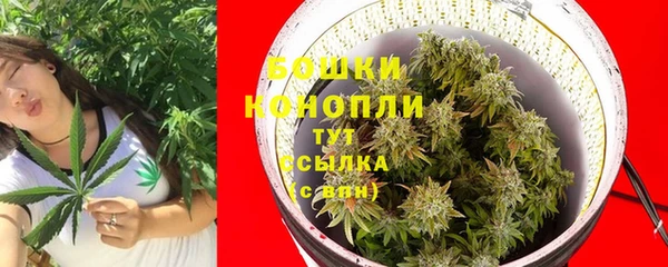 PSILOCYBIN Аркадак