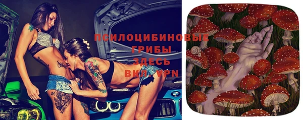PSILOCYBIN Аркадак