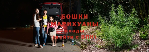 стаф Арсеньев