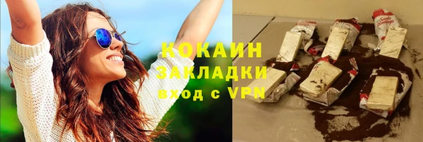 стаф Арсеньев