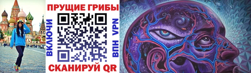 Псилоцибиновые грибы Psilocybe  гидра онион  Спасск-Дальний 